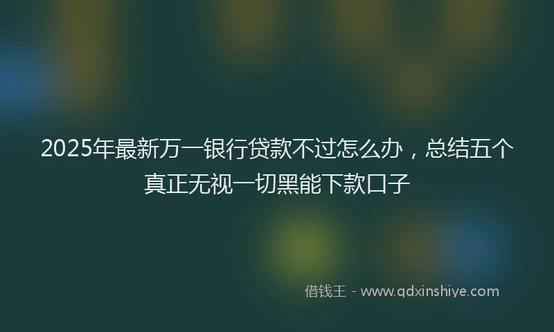 2025年最新万一银行贷款不过怎么办，总结五个真正无视一切黑能下款口子