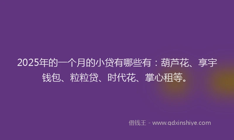 2025年的一个月的小贷有哪些有:葫芦花、享宇钱包、粒粒贷、时代花、掌心租等。