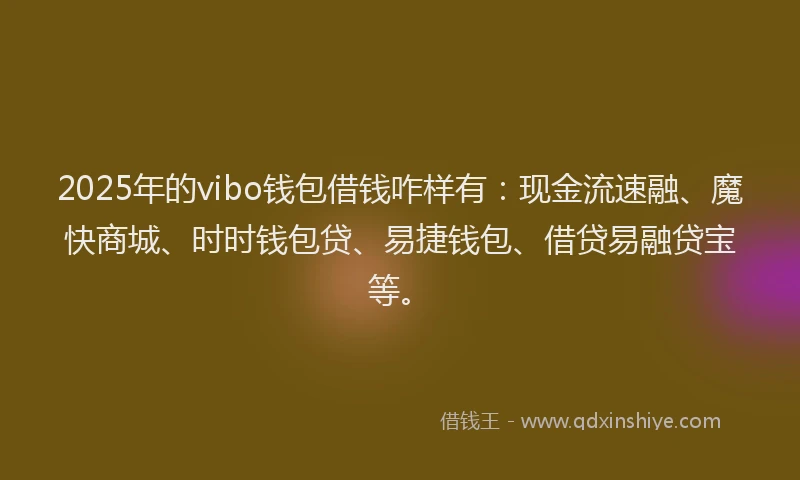 2025年的vibo钱包借钱咋样有：现金流速融、魔快商城、时时钱包贷、易捷钱包、借贷易融贷宝等。