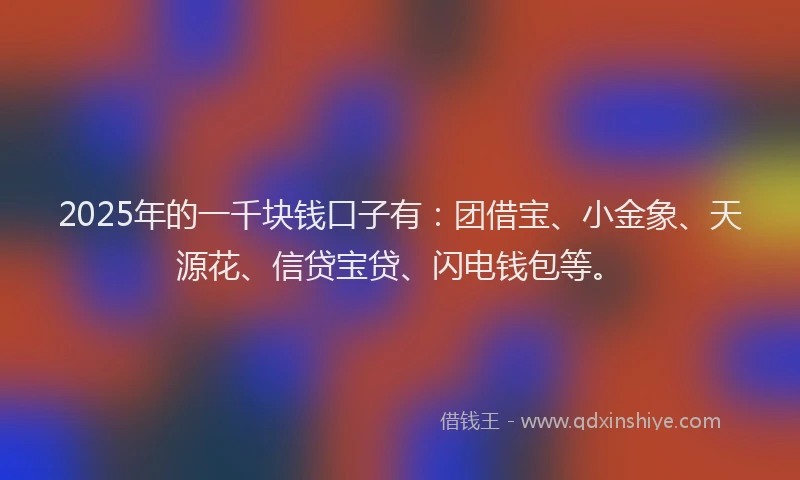 2025年的一千块钱口子有：团借宝、小金象、天源花、信贷宝贷、闪电钱包等。