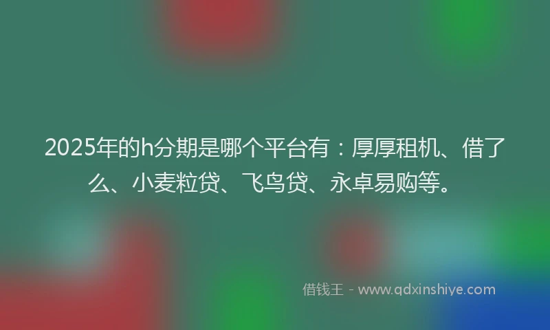 2025年的h分期是哪个平台有：厚厚租机、借了么、小麦粒贷、飞鸟贷、永卓易购等。