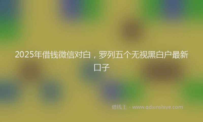 2025年借钱微信对白，罗列五个无视黑白户最新口子