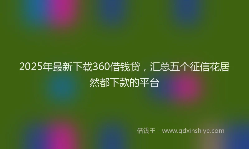 2025年最新下载360借钱贷，汇总五个征信花居然都下款的平台