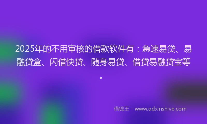 2025年的不用审核的借款软件有：急速易贷、易融贷盒、闪借快贷、随身易贷、借贷易融贷宝等。