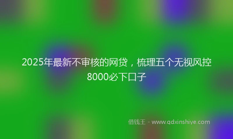 2025年最新不审核的网贷，梳理五个无视风控8000必下口子