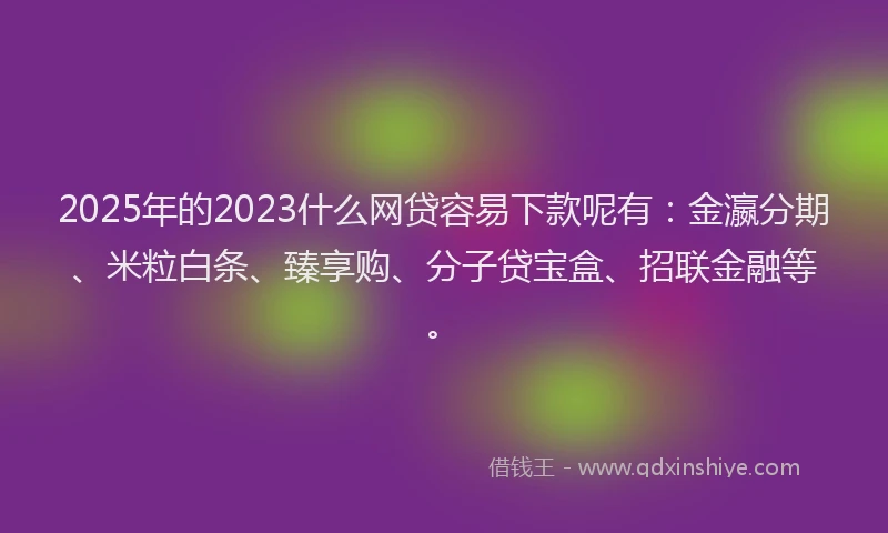 2025年的2023什么网贷容易下款呢有：金瀛分期、米粒白条、臻享购、分子贷宝盒、招联金融等。