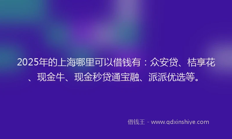 2025年的上海哪里可以借钱有：众安贷、桔享花、现金牛、现金秒贷通宝融、派派优选等。