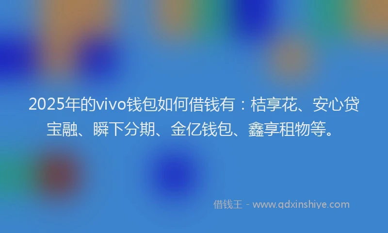 2025年的vivo钱包如何借钱有：桔享花、安心贷宝融、瞬下分期、金亿钱包、鑫享租物等。