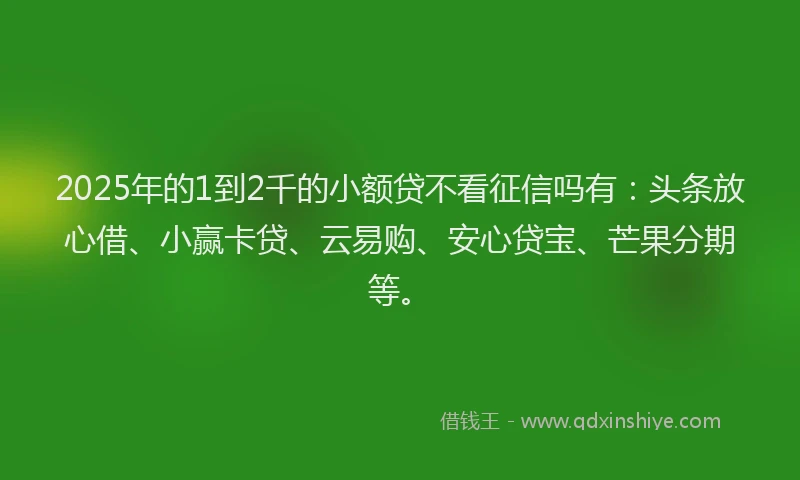 2025年的1到2千的小额贷不看征信吗有：头条放心借、小赢卡贷、云易购、安心贷宝、芒果分期等。
