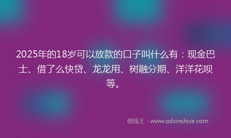 2025年的18岁可以放款的口子叫什么有：现金巴士、借了么快贷、龙龙用、树融分期、洋洋花呗等。