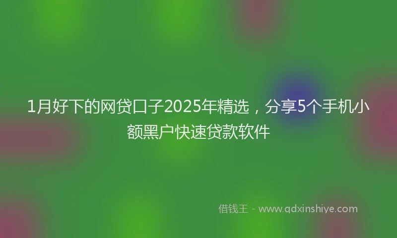 1月好下的网贷口子2025年精选，分享5个手机小额黑户快速贷款软件