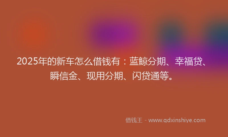 2025年的新车怎么借钱有：蓝鲸分期、幸福贷、瞬信金、现用分期、闪贷通等。