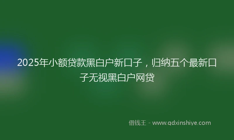 2025年小额贷款黑白户新口子，归纳五个最新口子无视黑白户网贷