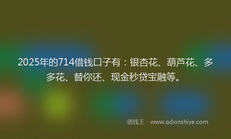 2025年的714借钱口子有：银杏花、葫芦花、多多花、替你还、现金秒贷宝融等。