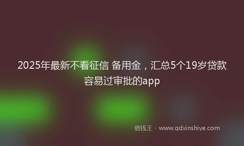 2025年最新不看征信 备用金，汇总5个19岁贷款容易过审批的app