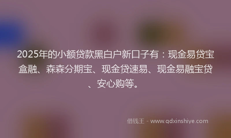 2025年的小额贷款黑白户新口子有：现金易贷宝盒融、森森分期宝、现金贷速易、现金易融宝贷、安心购等。