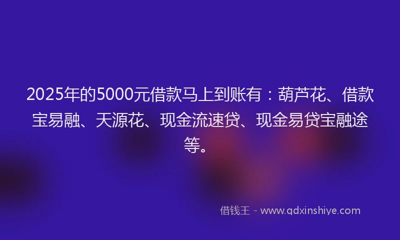 2025年的5000元借款马上到账有：葫芦花、借款宝易融、天源花、现金流速贷、现金易贷宝融途等。