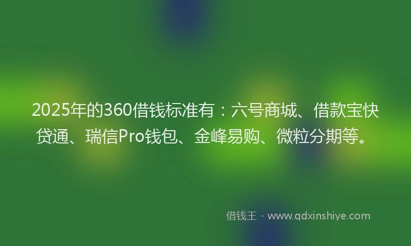 2025年的360借钱标准有：六号商城、借款宝快贷通、瑞信Pro钱包、金峰易购、微粒分期等。