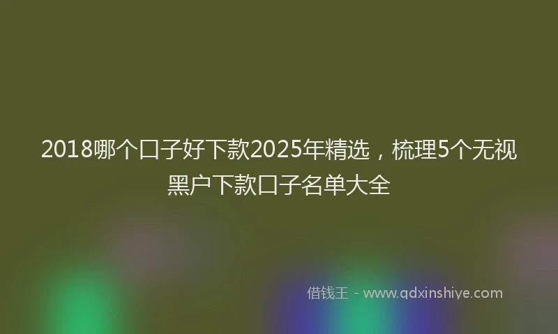 2018哪个口子好下款2025年精选，梳理5个无视黑户下款口子名单大全