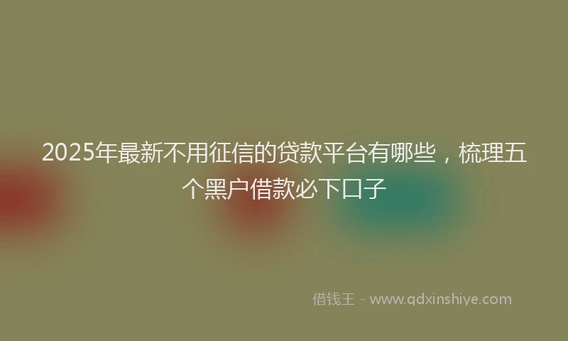 2025年最新不用征信的贷款平台有哪些，梳理五个黑户借款必下口子