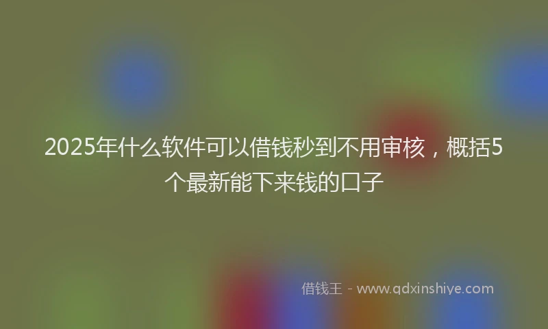 2025年什么软件可以借钱秒到不用审核，概括5个最新能下来钱的口子