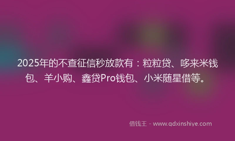 2025年的不查征信秒放款有：粒粒贷、哆来米钱包、羊小购、鑫贷Pro钱包、小米随星借等。