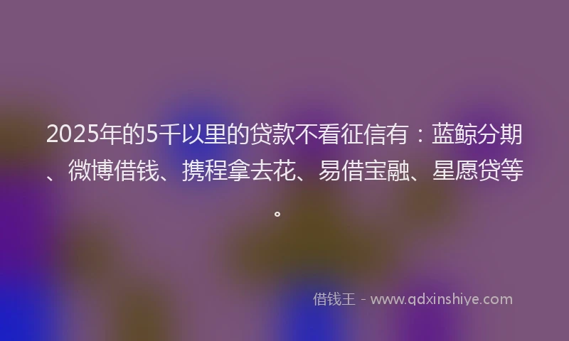 2025年的5千以里的贷款不看征信有：蓝鲸分期、微博借钱、携程拿去花、易借宝融、星愿贷等。