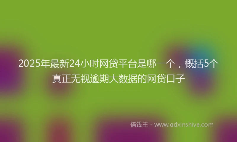 2025年最新24小时网贷平台是哪一个，概括5个真正无视逾期大数据的网贷口子