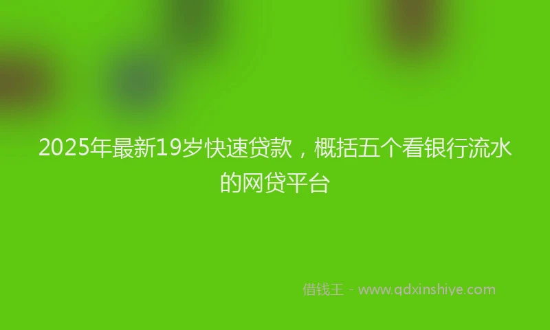 2025年最新19岁快速贷款，概括五个看银行流水的网贷平台