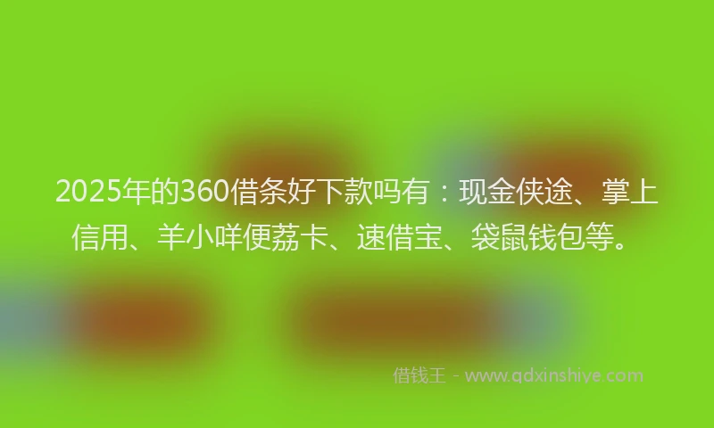 2025年的360借条好下款吗有：现金侠途、掌上信用、羊小咩便荔卡、速借宝、袋鼠钱包等。