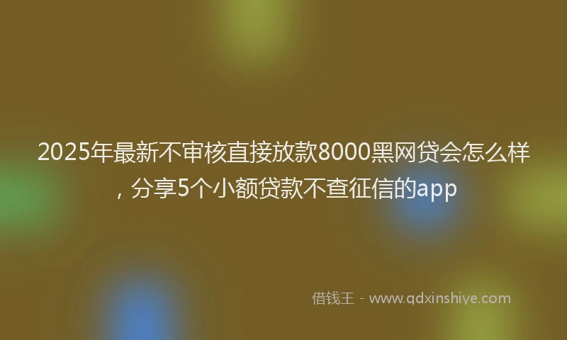 2025年最新不审核直接放款8000黑网贷会怎么样，分享5个小额贷款不查征信的app