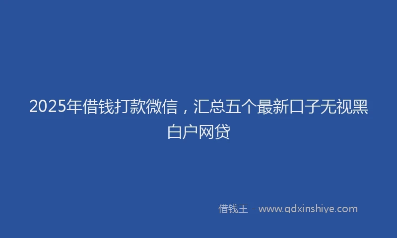 2025年借钱打款微信，汇总五个最新口子无视黑白户网贷