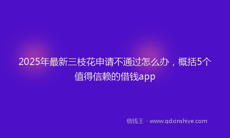 2025年最新三枝花申请不通过怎么办，概括5个值得信赖的借钱app
