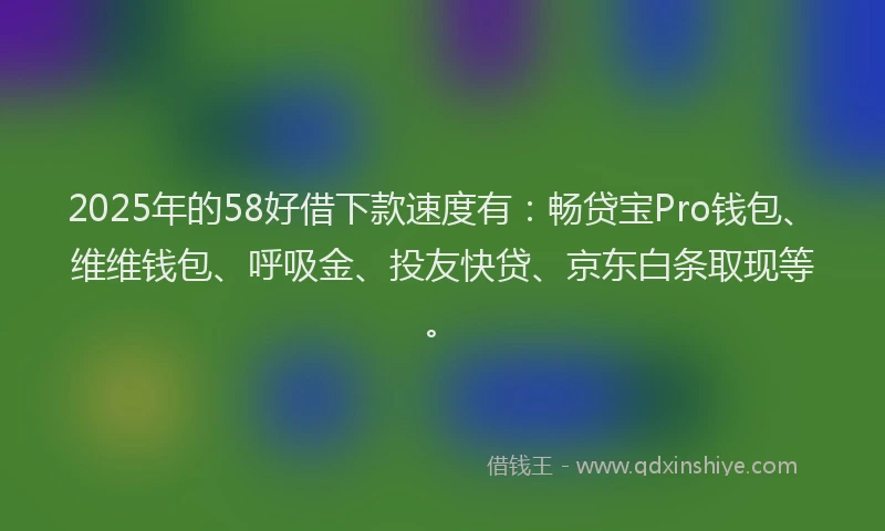 2025年的58好借下款速度有：畅贷宝Pro钱包、维维钱包、呼吸金、投友快贷、京东白条取现等。