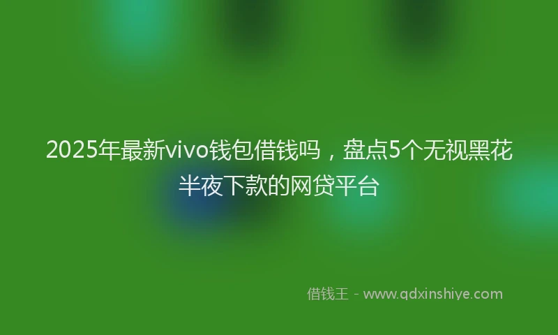 2025年最新vivo钱包借钱吗，盘点5个无视黑花半夜下款的网贷平台