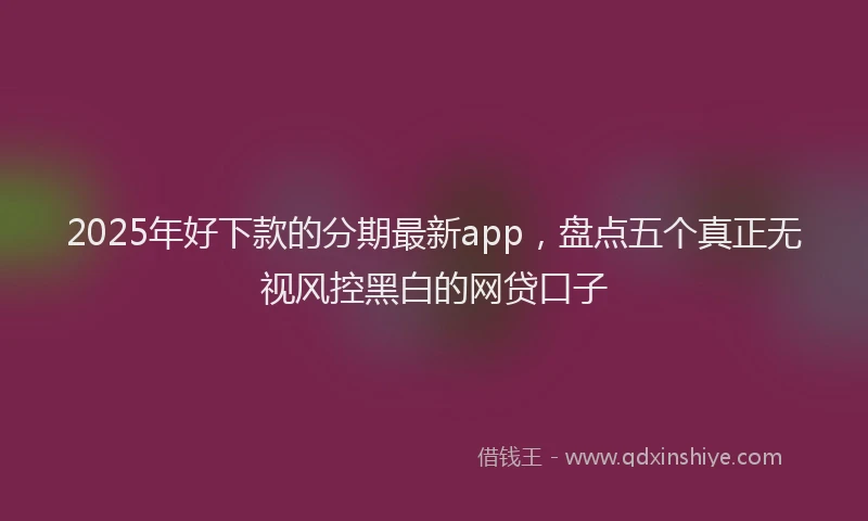 2025年好下款的分期最新app，盘点五个真正无视风控黑白的网贷口子