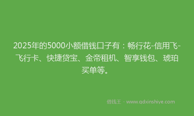 2025年的5000小额借钱口子有：畅行花-信用飞-飞行卡、快捷贷宝、金帝租机、智享钱包、琥珀买单等。