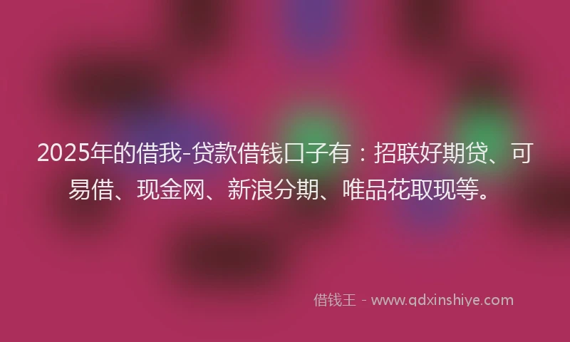 2025年的借我-贷款借钱口子有：招联好期贷、可易借、现金网、新浪分期、唯品花取现等。