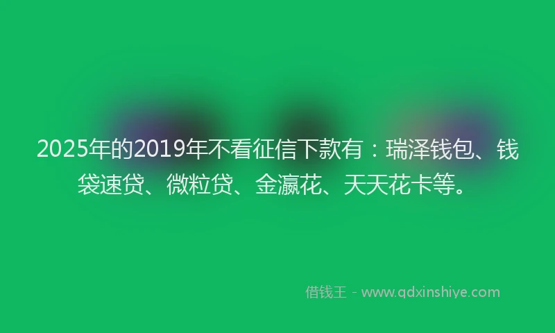2025年的2019年不看征信下款有：瑞泽钱包、钱袋速贷、微粒贷、金瀛花、天天花卡等。