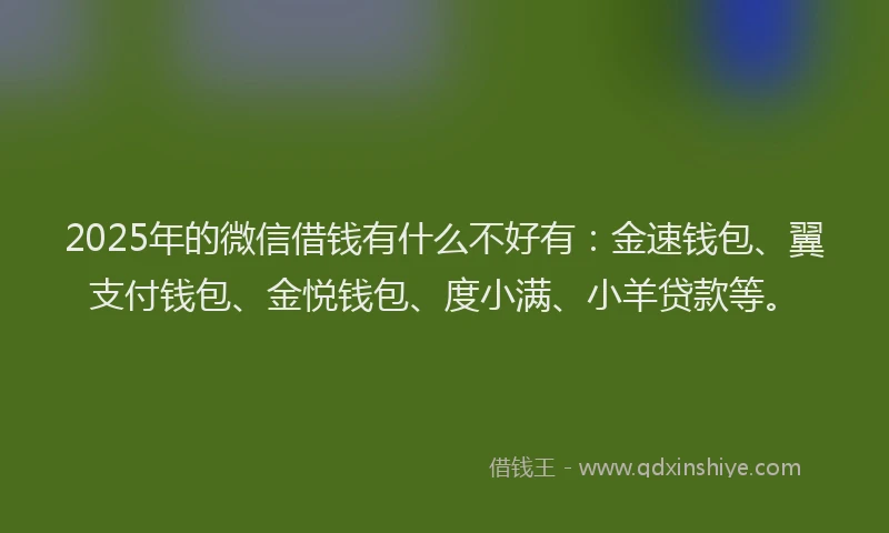2025年的微信借钱有什么不好有：金速钱包、翼支付钱包、金悦钱包、度小满、小羊贷款等。