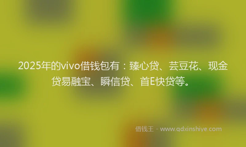 2025年的vivo借钱包有：臻心贷、芸豆花、现金贷易融宝、瞬信贷、首E快贷等。