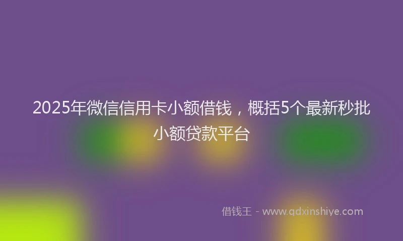 2025年微信信用卡小额借钱，概括5个最新秒批小额贷款平台