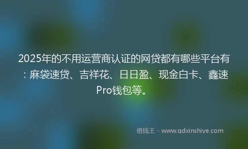 2025年的不用运营商认证的网贷都有哪些平台有：麻袋速贷、吉祥花、日日盈、现金白卡、鑫速Pro钱包等。