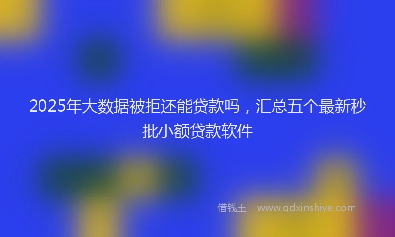 2025年大数据被拒还能贷款吗，汇总五个最新秒批小额贷款软件