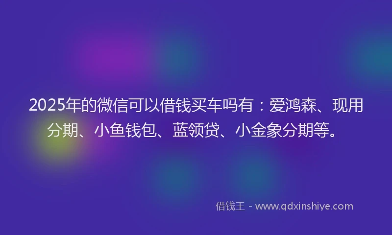 2025年的微信可以借钱买车吗有：爱鸿森、现用分期、小鱼钱包、蓝领贷、小金象分期等。