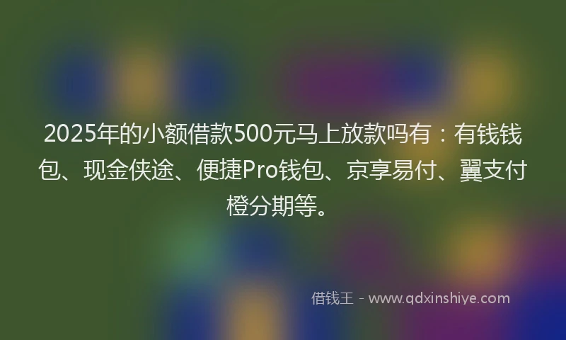2025年的小额借款500元马上放款吗有：有钱钱包、现金侠途、便捷Pro钱包、京享易付、翼支付橙分期等。