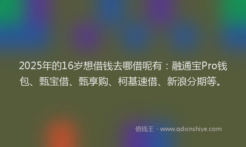 2025年的16岁想借钱去哪借呢有：融通宝Pro钱包、甄宝借、甄享购、柯基速借、新浪分期等。