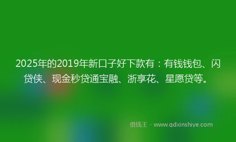 2025年的2019年新口子好下款有：有钱钱包、闪贷侠、现金秒贷通宝融、浙享花、星愿贷等。