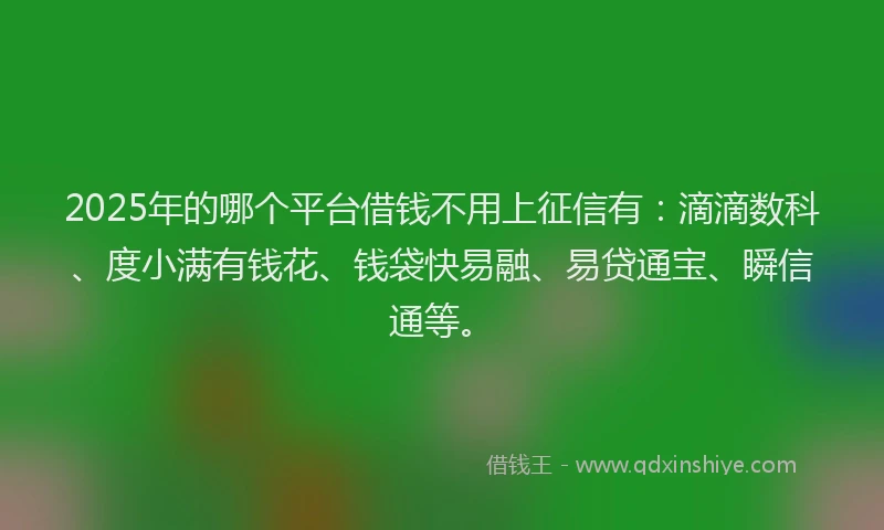 2025年的哪个平台借钱不用上征信有：滴滴数科、度小满有钱花、钱袋快易融、易贷通宝、瞬信通等。