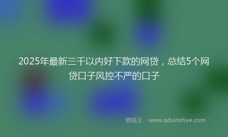 2025年最新三千以内好下款的网贷，总结5个网贷口子风控不严的口子